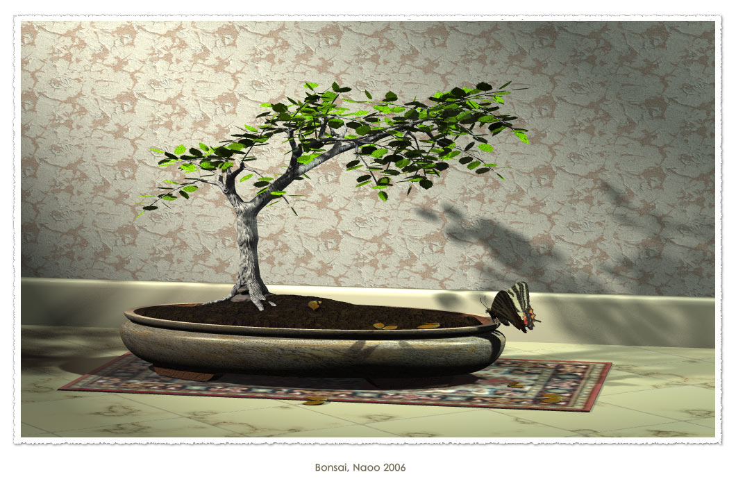 Bonsai-Birke