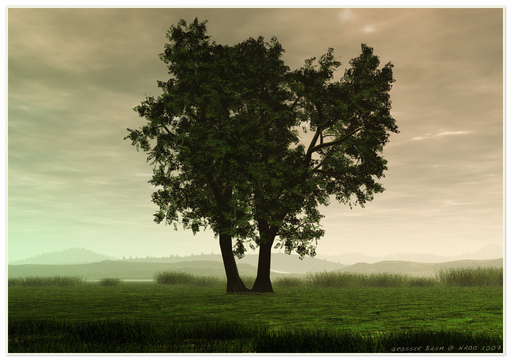 grosser-Baum